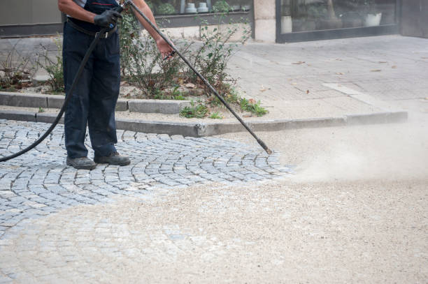 Best Patio and Deck Pressure Washing  in Alpena, MI