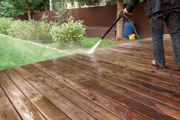 Best Animal Enclosure Cleaning  in Alpena, MI